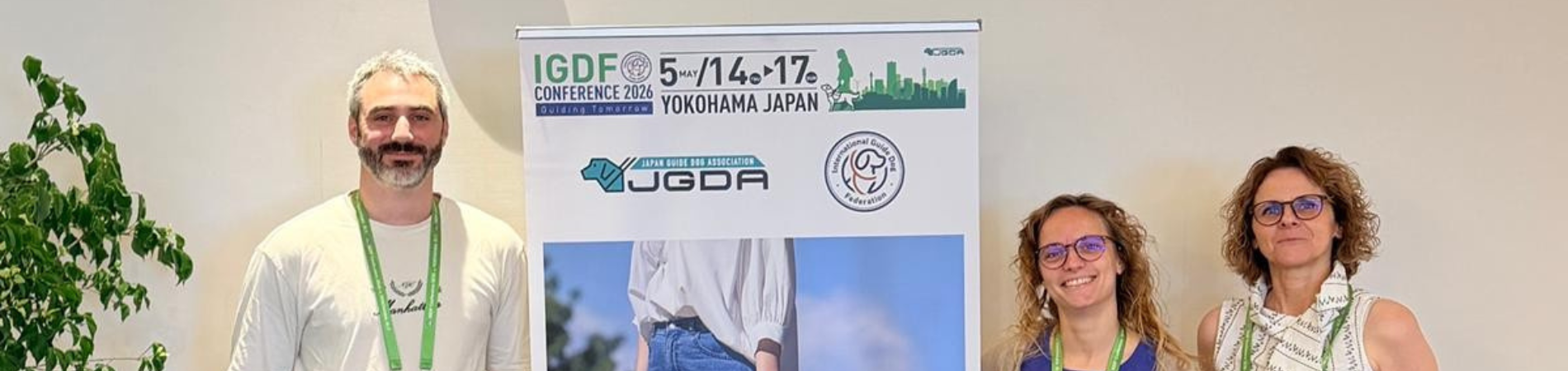 image fond header
