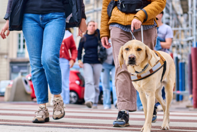 Photo d’une personne déficiente visuelle guidée par son chien guide. À sa gauche, une autre personne marche à ses côtés.
