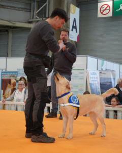 Salon de l'agriculture avec Kaelig  et son chien beige 