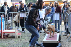 Photo d'une Famille d'accueil avec son chiot qui sont entrain de faire un parcours 