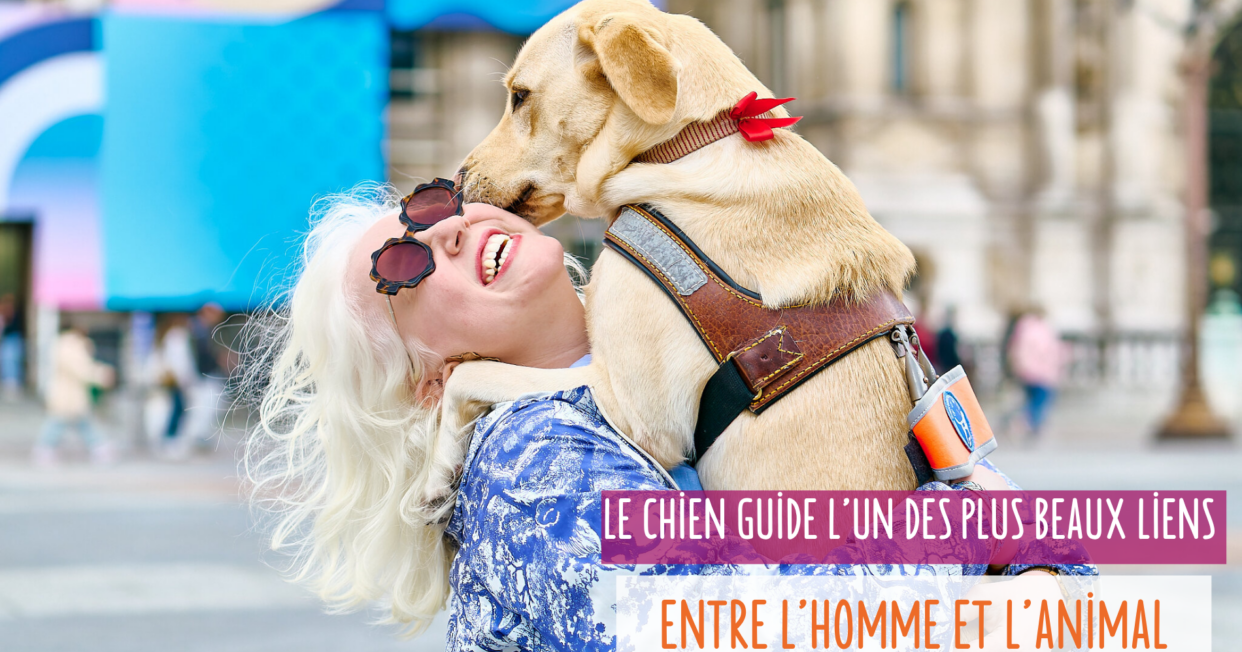 image fond