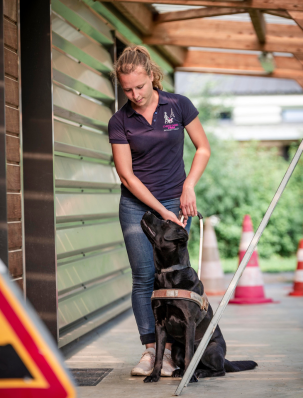 Lydie, éducatrice récompense son labrador noir par une caresse après qu'il est marqué un obstacle.
