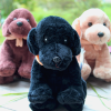 Grande peluche en forme de labrador noir, chocolat et sable