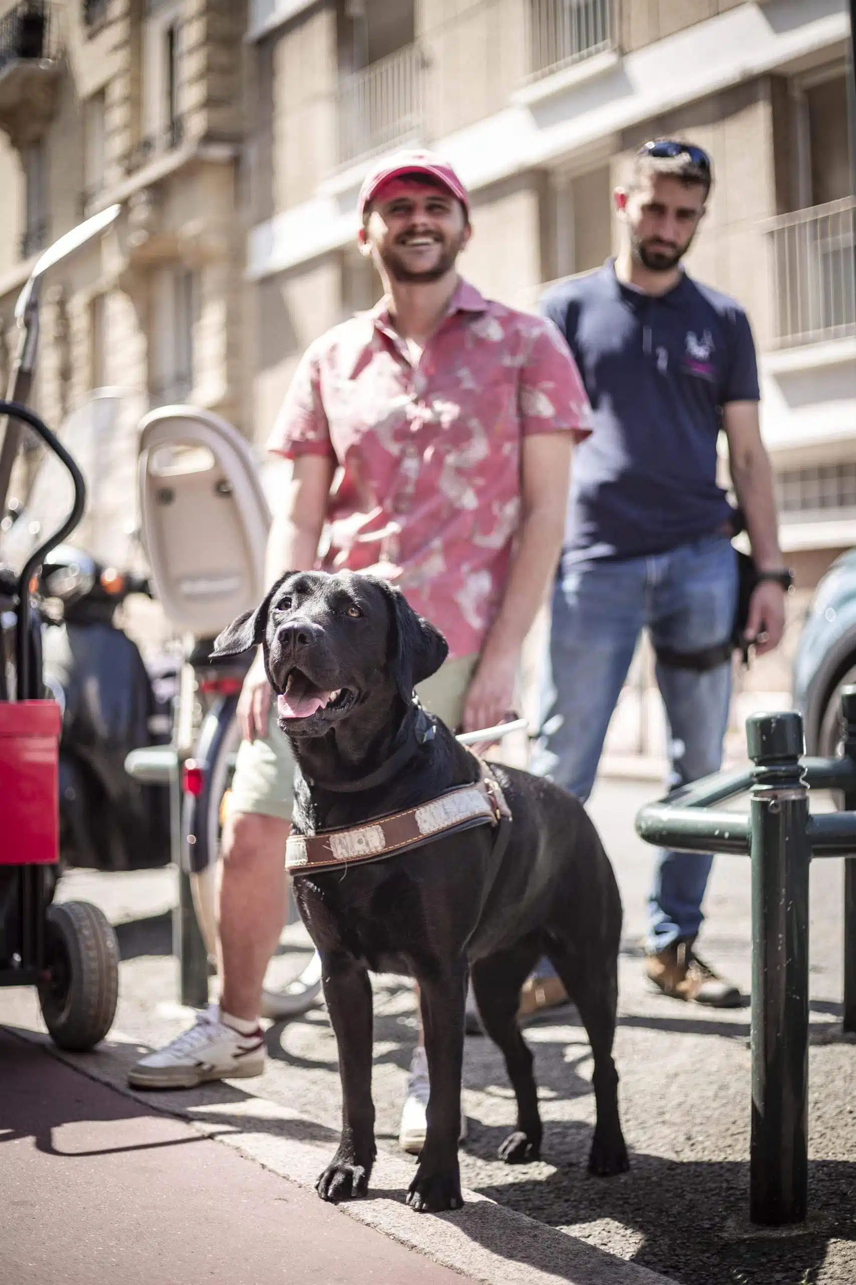 Pinaï signale le trottoir à Geoffrey, son maître, sous l'œil attentif de Dorian son éducateur. 