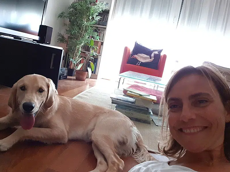 La photo est un selfie de Nancy et du labrador et du chien qu'elle a en relais à ce moment.