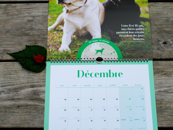 Calendrier ouvert au mois de décembre. La photo deux chiens retraités. Il y a un curseur placer sur 12e étape la retraite. La légende à côté dit : Entre 8 et 10 ans nos chiens guides prennent leur retraite et coulent des jours heureux.