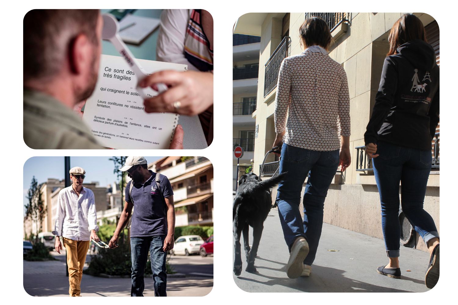 Trois photo en une qui montre différents aspects de l'attribution. Un rendez-vous chez l'orthoptiste, une séance de locomotion et un essai avec un chien guide