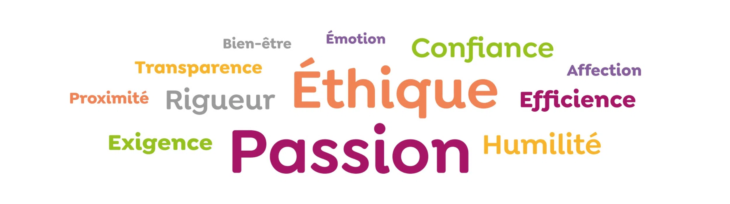 Les valeurs de l'association sont représentées sous forme de nuage de mot : passion, éthique, efficience, humilité, exigence, rigueur, proximité, transparence, bien-être, émotion, confiance, affection. 