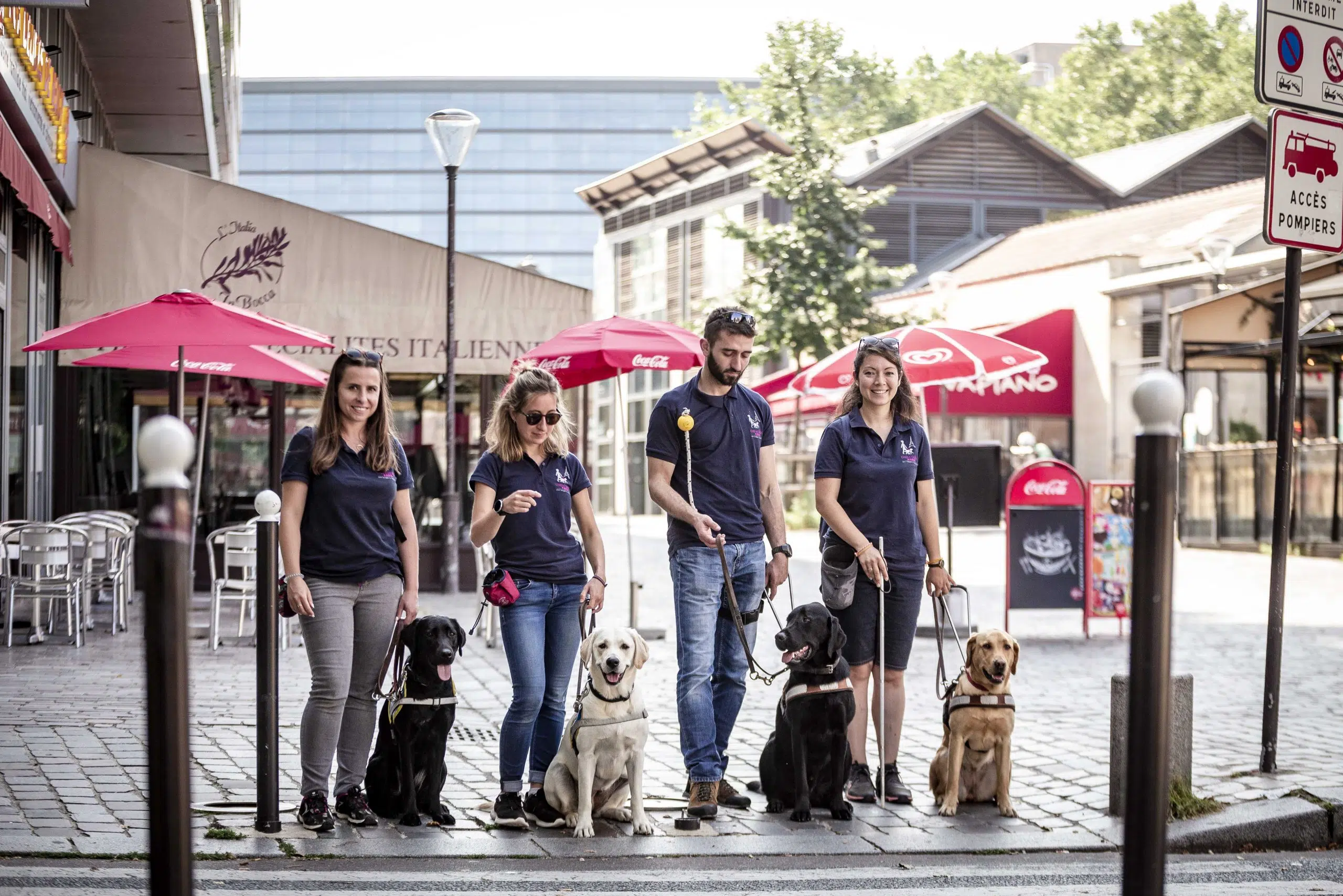 Quatre éducateurs sont devant un passage piéton et demandent à leurs chiens de s'assoir pour le signaler 