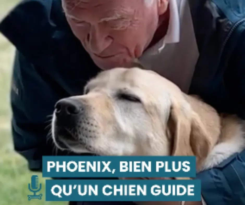 Couverture de la vidéo avec Léo et son chien Phoenix 