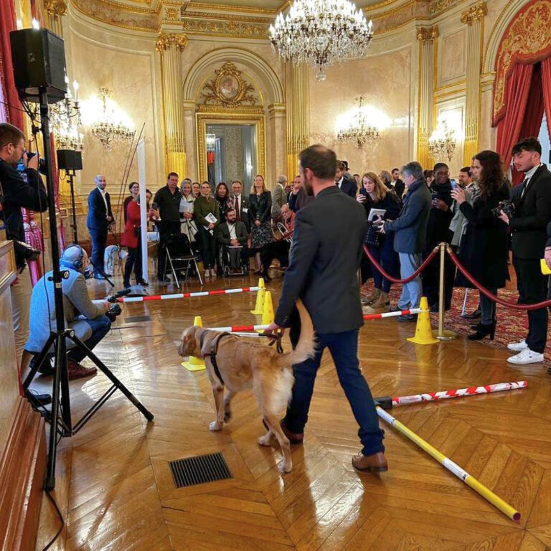 Mathieu, éducateur, en pleine démonstration de guidage avec Timy devant la députée Aurore Bergé