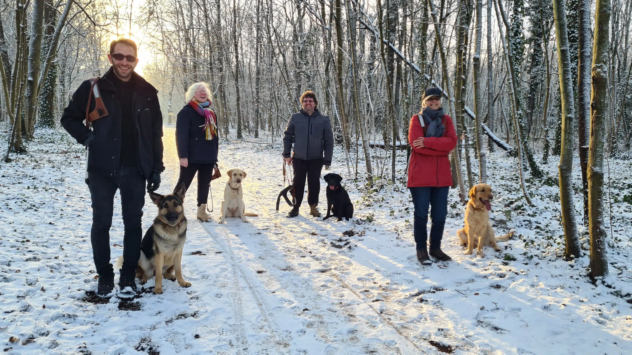 Quatre bénéficiaires avec leurs chiens guides dans le bois de Vincennes enneigé