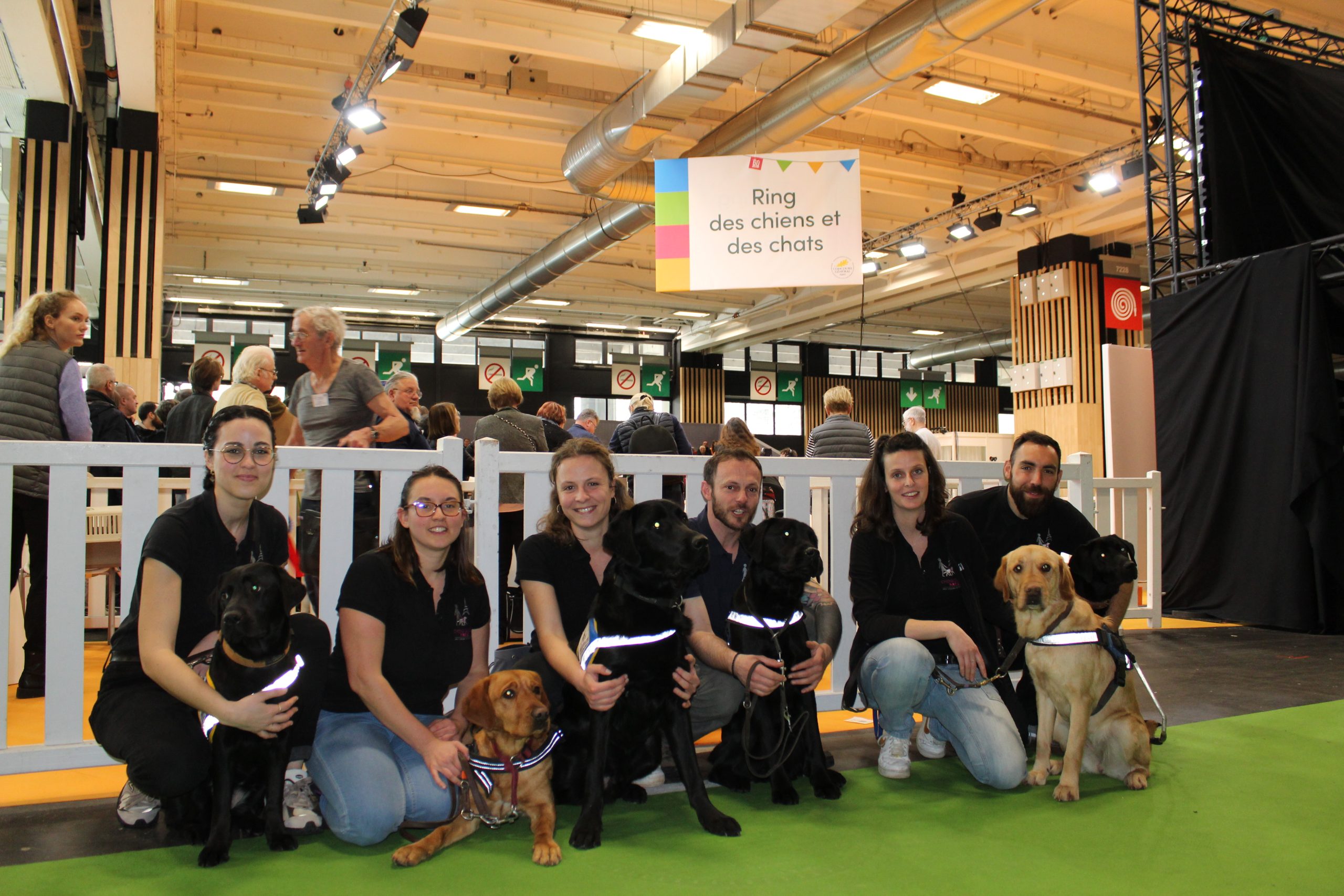 Six éducateurs avec leurs chiens devant le podium