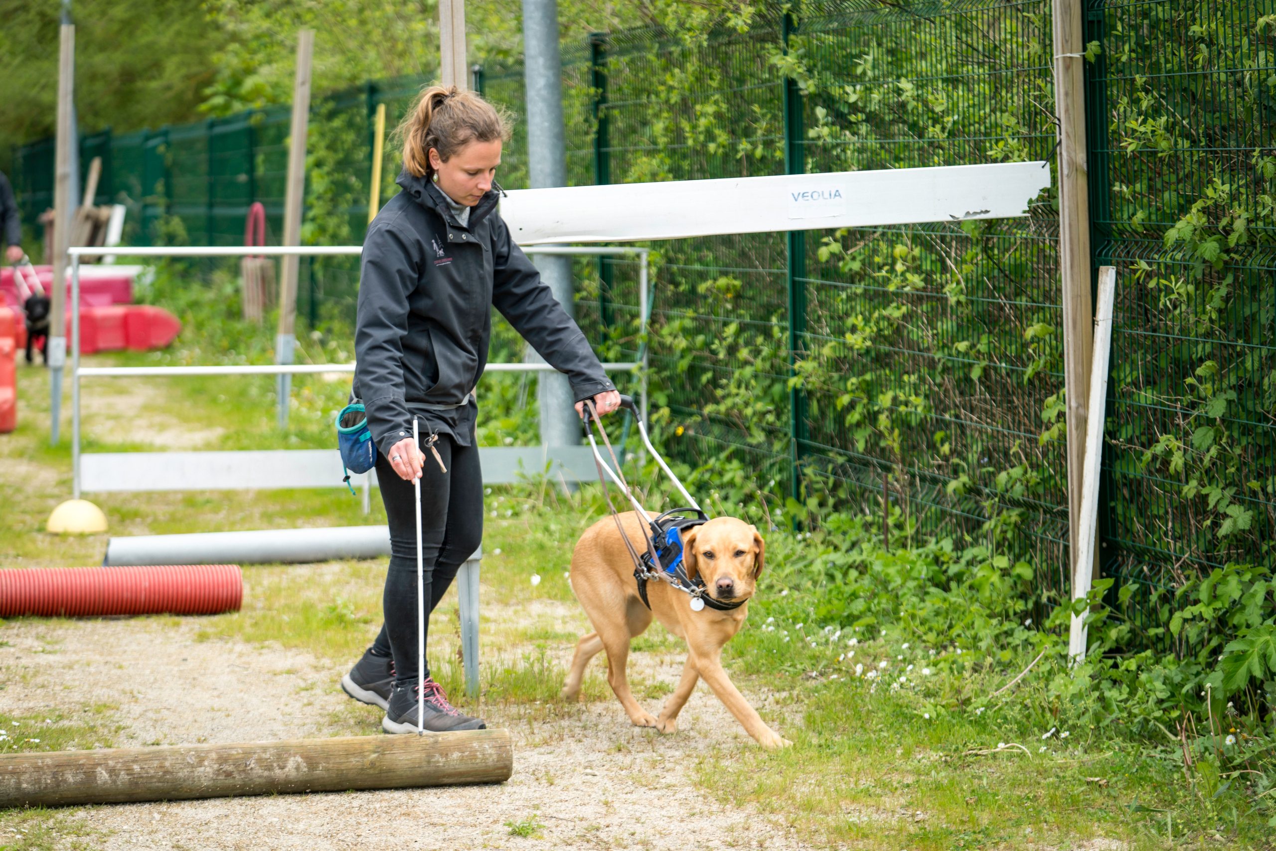 Lydie, éducatrice avec Uma, labrador sable