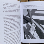 Photo d’illustration du livre : une page de texte accompagnée d’une page avec la photographie d’un chien portant son harnais de travail.