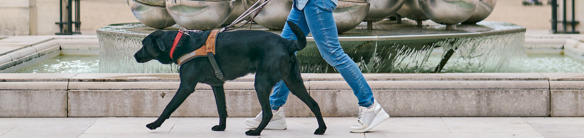 image fond header