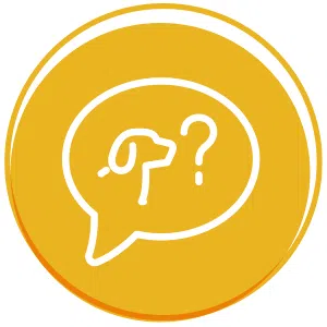 06-Premiere-demande-chien-guide