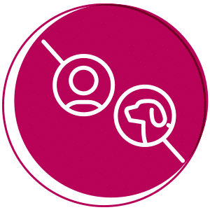 07-Preparation-remise-chien