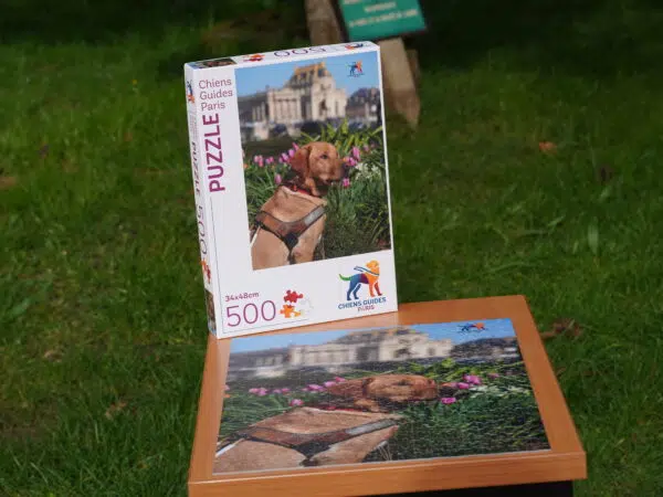 Photo du puzzle de l’École de Chiens Guides avec la boîte installée à côté. Le puzzle représente Up, un labrador de couleur sable portant son harnais.