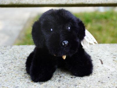 Peluche noir style fluffly , assise sur un banc
