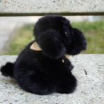Photo d'une petite peluche noir fluffly , assise et elle porte un bandana de couleur jaune