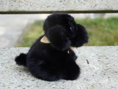 Photo d'une petite peluche noir fluffly , assise et elle porte un bandana de couleur jaune