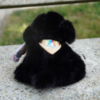 Photo d'une peluche noir fluffy assise de dos , pour montrer le logo de l'Ecole cousu sur le bandana