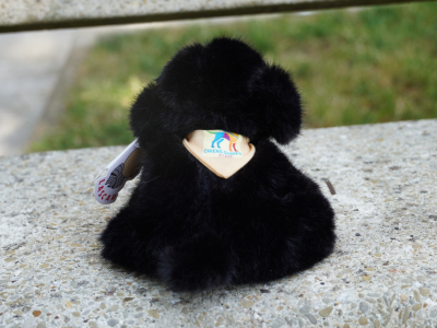 Photo d'une peluche noir fluffy assise de dos , pour montrer le logo de l'Ecole cousu sur le bandana