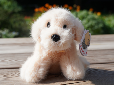 Photo d'une peluche sable style fluffy, photographiée en extérieur