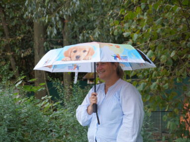 Parapluie