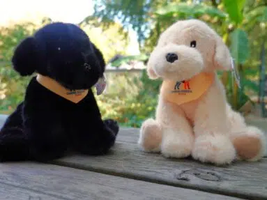 Deux peluche Floppy dans l'herbe
